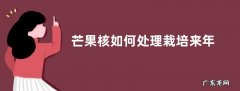 芒果核如何处理栽培来年就能结果子