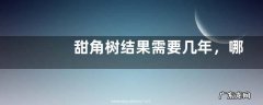 甜角树结果需要几年，哪些人不宜吃甜角