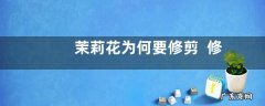 茉莉花为何要修剪修剪后如何养护