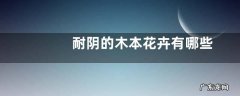 耐阴的木本花卉有哪些