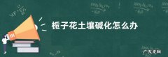 栀子花土壤碱化怎么办需要采取哪些措施