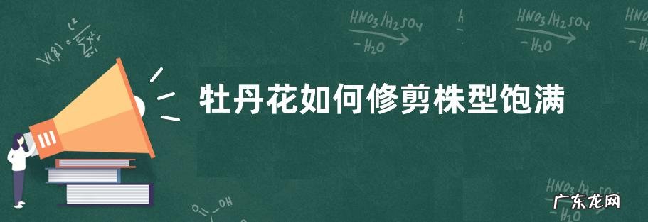 牡丹花如何修剪株型饱满优美
