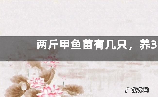 两斤甲鱼苗有几只,养3000只甲鱼成本利润是多少