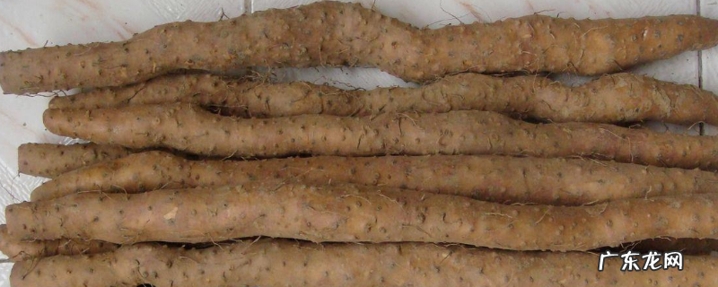 铁棍山药可以生吃吗,附常见的吃法