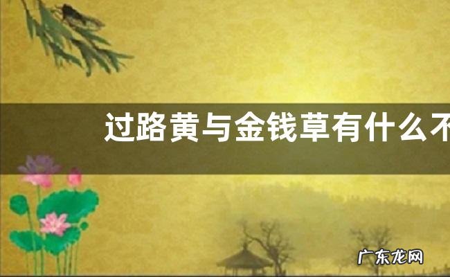 过路黄与金钱草有什么不同，金钱草有哪些好处