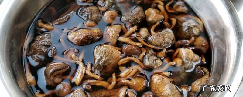 姬松茸该如何泡发,姬松茸怎么做好吃