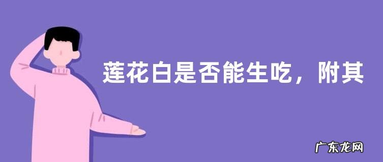 莲花白是否能生吃,附其常见做法
