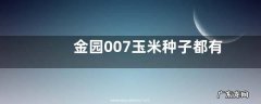 金园007玉米种子都有哪些特征，附简介