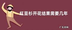 红豆杉开花结果需要几年，附杉树简介