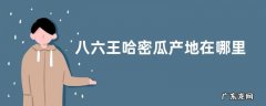 八六王哈密瓜产地在哪里，有什么功效