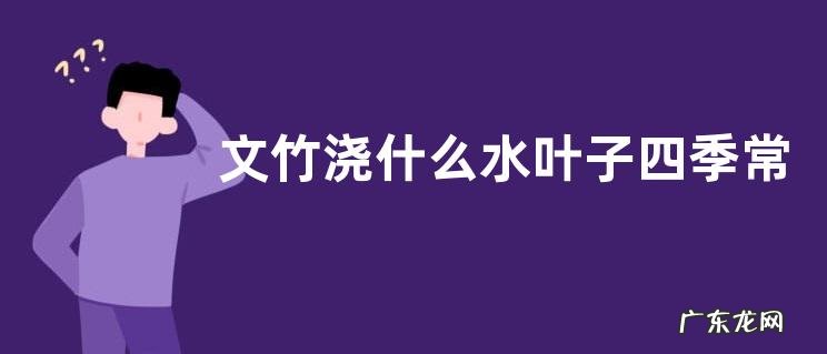文竹浇什么水叶子四季常绿