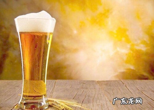 文竹浇什么水叶子四季常绿