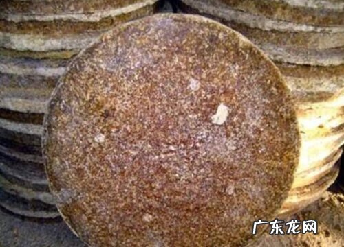 文竹浇什么水叶子四季常绿