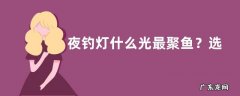 夜钓灯什么光最聚鱼？选购方法是什么