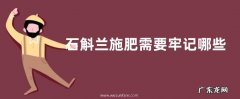 石斛兰施肥需要牢记哪些事项