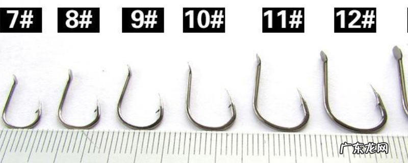 伊势尼几号钩能大小通吃?附钩型特征