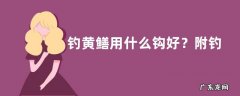 钓黄鳝用什么钩好？附钓饵装钩