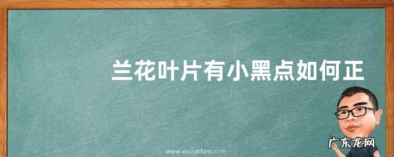 兰花叶片有小黑点如何正确防治
