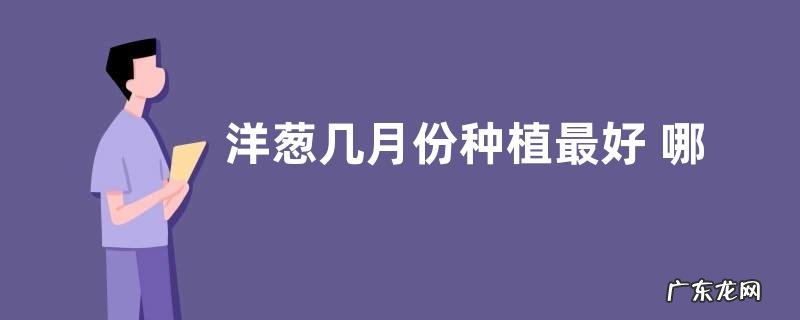 洋葱几月份种植最好 哪个季节种植合适