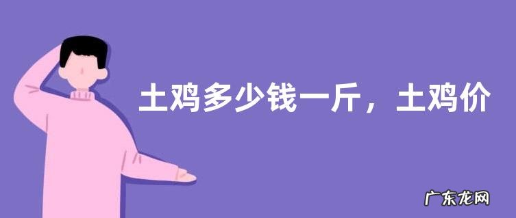 土鸡多少钱一斤，土鸡价格为什么这么贵，有哪些销售渠道