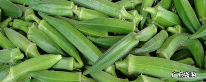秋葵蘸酱生吃可行吗,附秋葵的作用