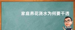 家庭养花浇水为何要干透浇透