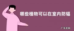 哪些植物可以在室内防辐射，防电脑辐射有哪些注意事项