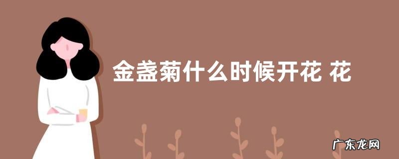 金盏菊什么时候开花 花期是几月
