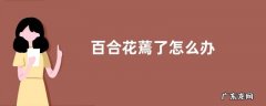 百合花蔫了怎么办