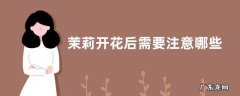 茉莉开花后需要注意哪些问题