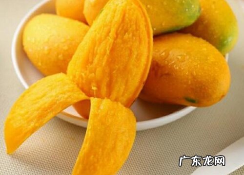 芒果皮如何养兰花长势旺