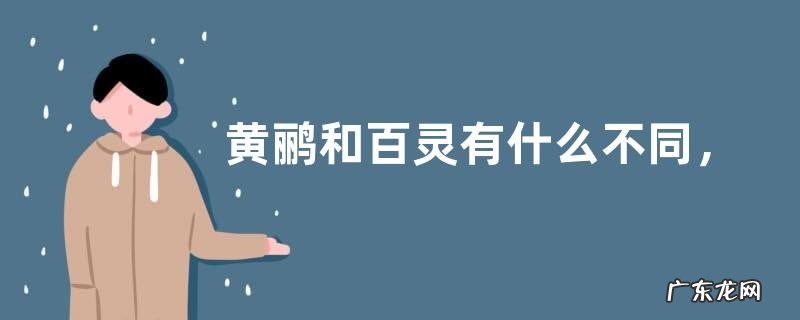 黄鹂和百灵有什么不同,百灵选购有什么技术