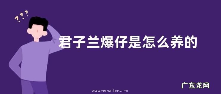 君子兰爆仔是怎么养的有哪些妙招