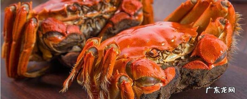 冻死的大闸蟹还可以食用吗,怎样食用