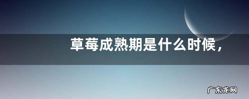 草莓成熟期是什么时候，吃多了有什么副作用