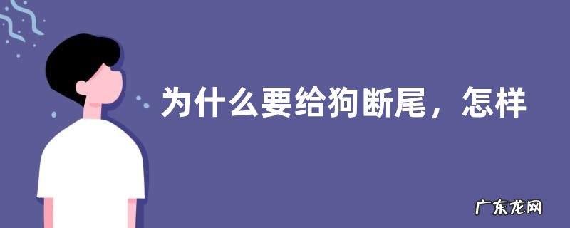为什么要给狗断尾，怎样进行断尾后的护理