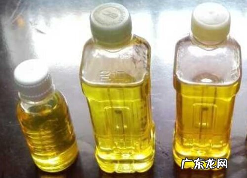 废油如何用来养护金钱树怎么养新芽冒不停