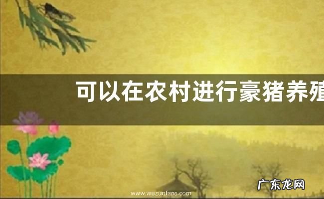 可以在农村进行豪猪养殖吗,豪猪怎么养