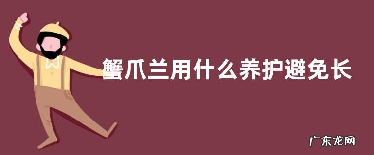 蟹爪兰用什么养护避免长的慢开花少