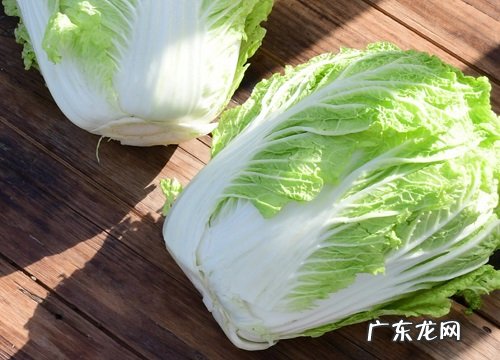 腌酸白菜又酸又脆的方法 白菜帮怎么腌制又简单又好吃