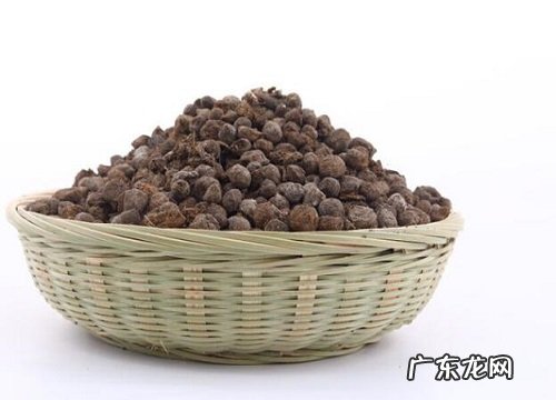 羊粪如何养护文竹具体的方法