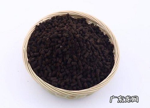 羊粪如何养护文竹具体的方法