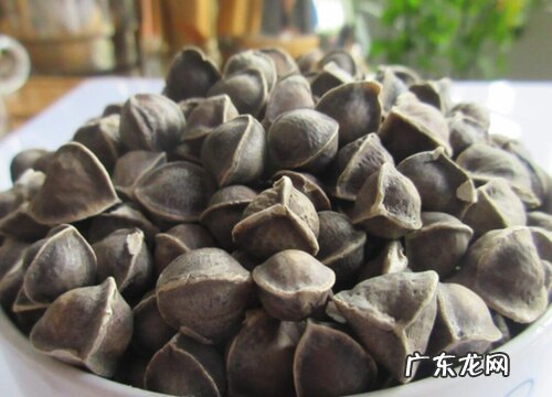 辣木籽可以泡水喝吗