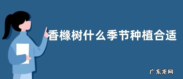 香橼树什么季节种植合适