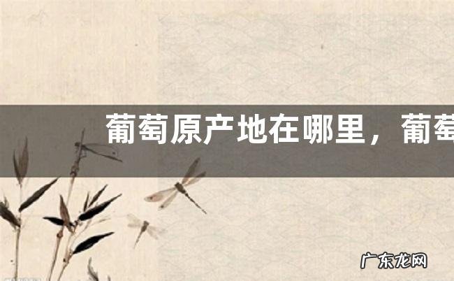 葡萄原产地在哪里，葡萄有多少个品种