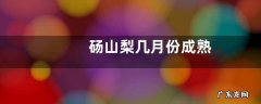 砀山梨几月份成熟