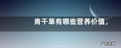 青干草有哪些营养价值，具体怎样调制和贮藏