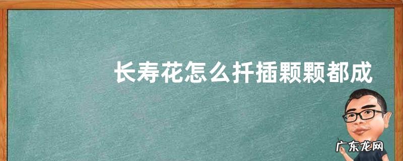 长寿花怎么扦插颗颗都成活
