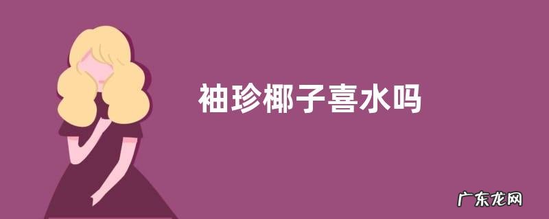 袖珍椰子喜水吗