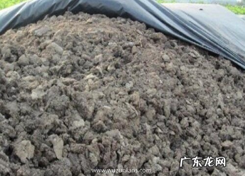 如何发酵有机肥水没有臭味